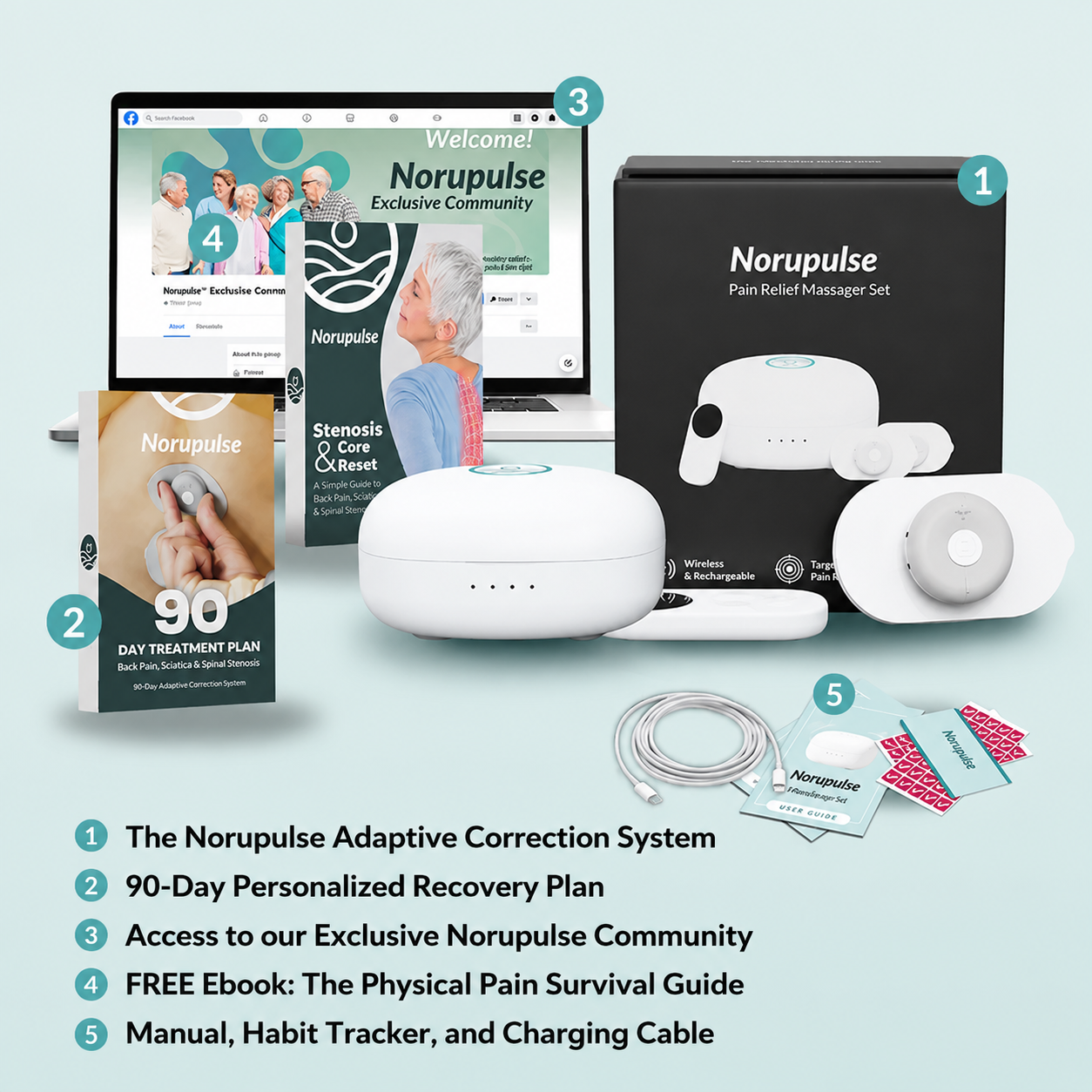 Norupulse package contents